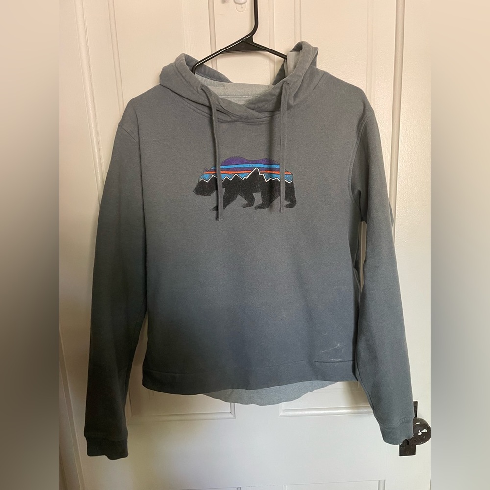Patagonia Sweatshirt